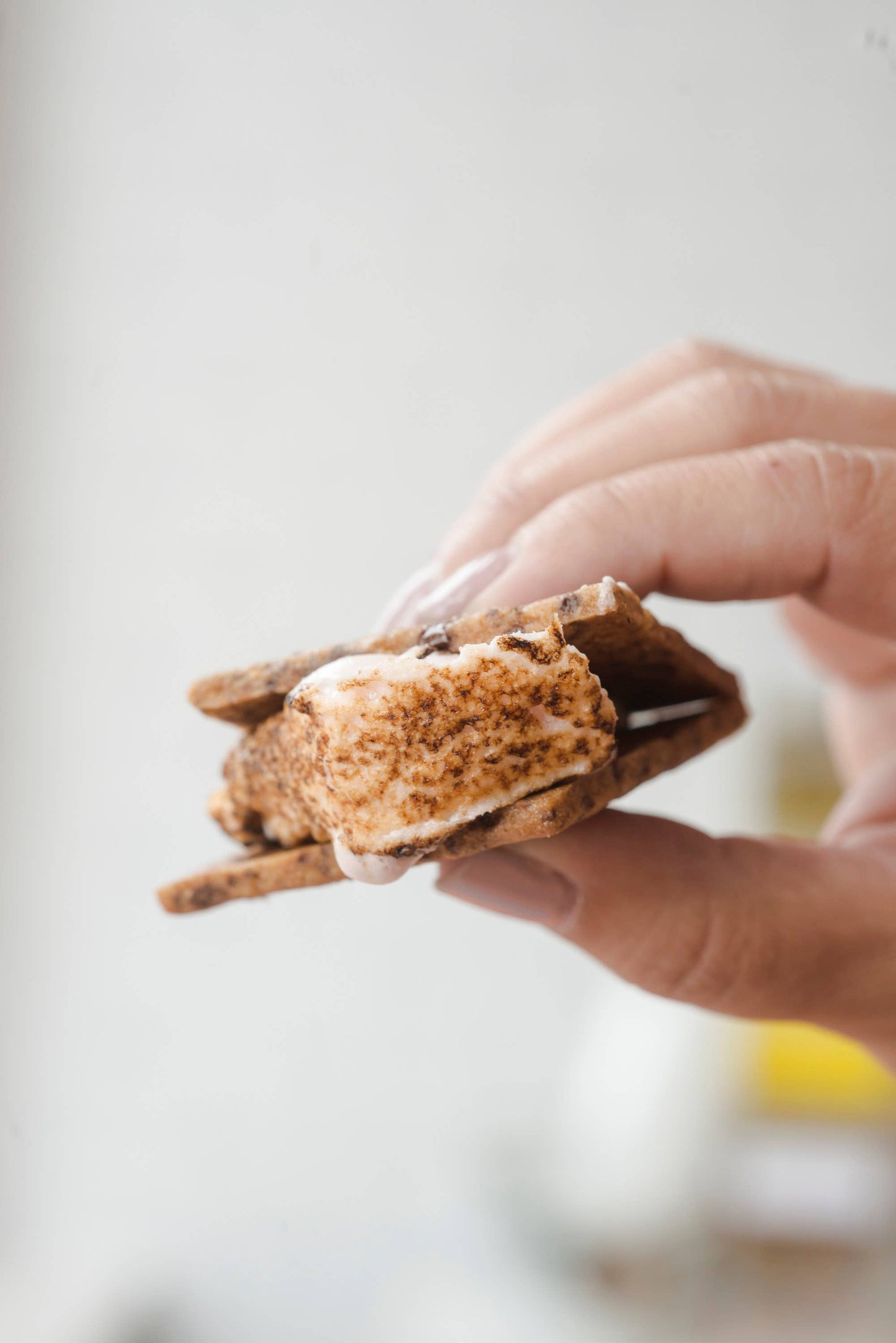 Gourmet Graham Crackers