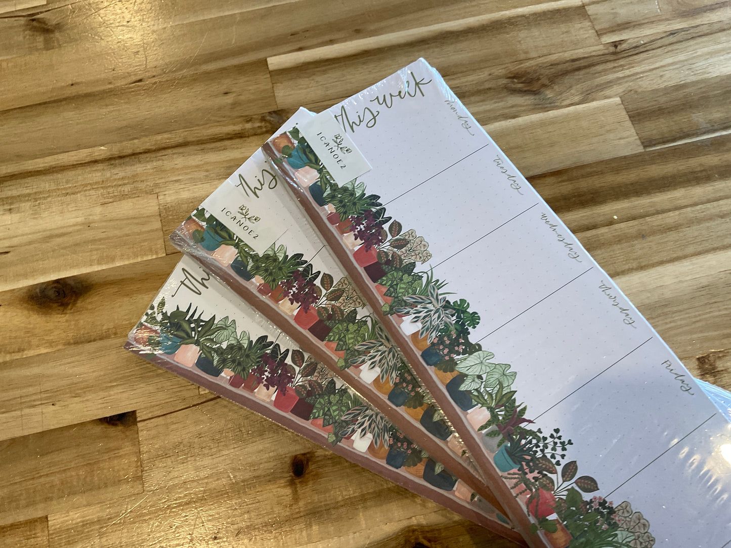 Household Weekly Planner 1 canoe 2 Livia