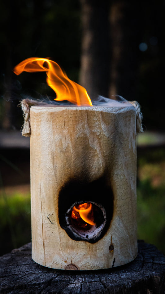 One Log Fire